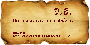 Demetrovics Barnabás névjegykártya